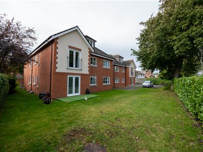 Picture 17